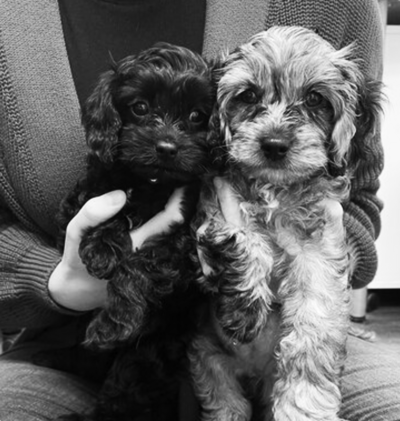 Cleo + Piper