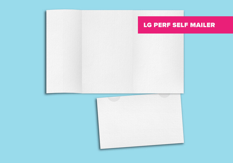 A large perforated self-mailer
