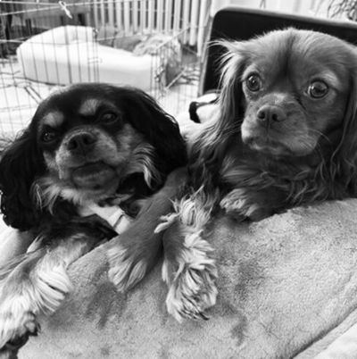 Coco + Wolfgang